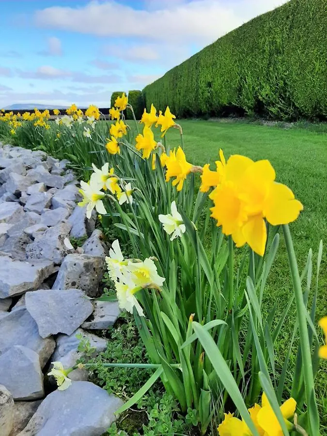 ****  Bunratty Haven Bed & Breakfast Ireland
