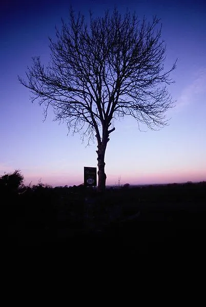 Bunratty Haven Bed & Breakfast